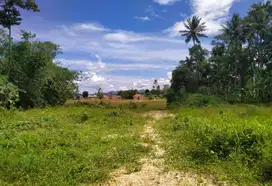 TANAH DI JUAL DI WAY KANDIS