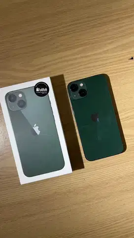 Iphone 13 alpine green