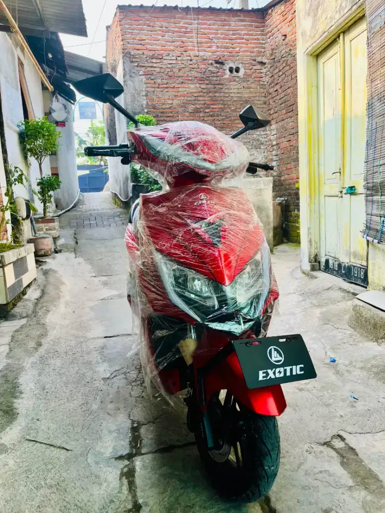 Exotic Mizone New