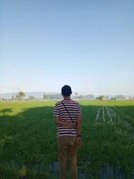 Cari Pekerjaan Serabutan