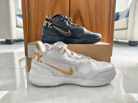 Nike Lebron NXXT GEN AMPD