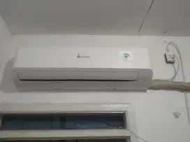 Ace Sharp 1/2 pk