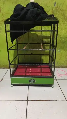 Kandang ebod ruji senar