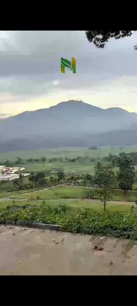 kavling tanah istimewa