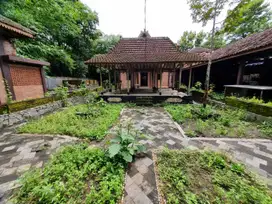 DIJUAL HARGA LELANG RUMAH DAN TANAH LUAS DI MINGGIR