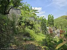 DIJUAL TANAH LUAS COCOK UNTUK RUMAH DAN USAHA