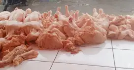 Ayam potong dan filet