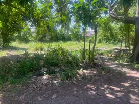 Tanah luas 300.M. BATOH 200.M.dri jln 2 jalur mohd hasan