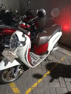 Honda Scoopy  2019