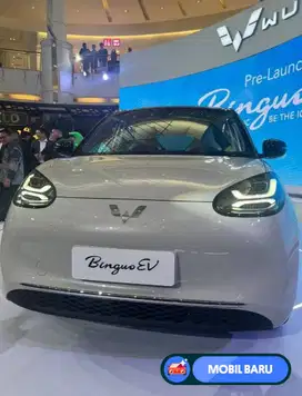 [Mobil Baru] Promo Binguo Dp mulai 5 juta aja