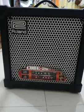 Roland Cube 20 XL