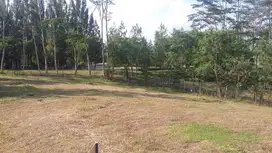 Dijual Kavling di Kota Baru Parahyangan Bandung Barat