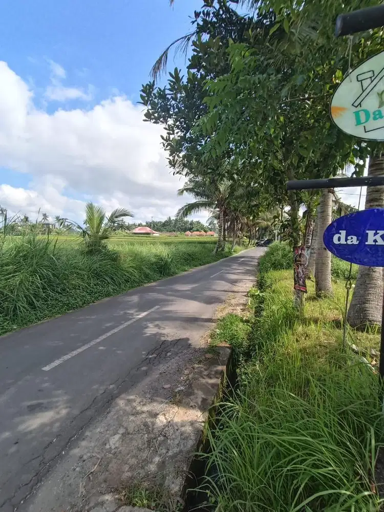 Dikontrakkan Tanah di Lodtunduh Ubud