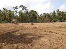 Moyudan, Tanah Sleman Jogja, dekat Balai Desa Moyudan