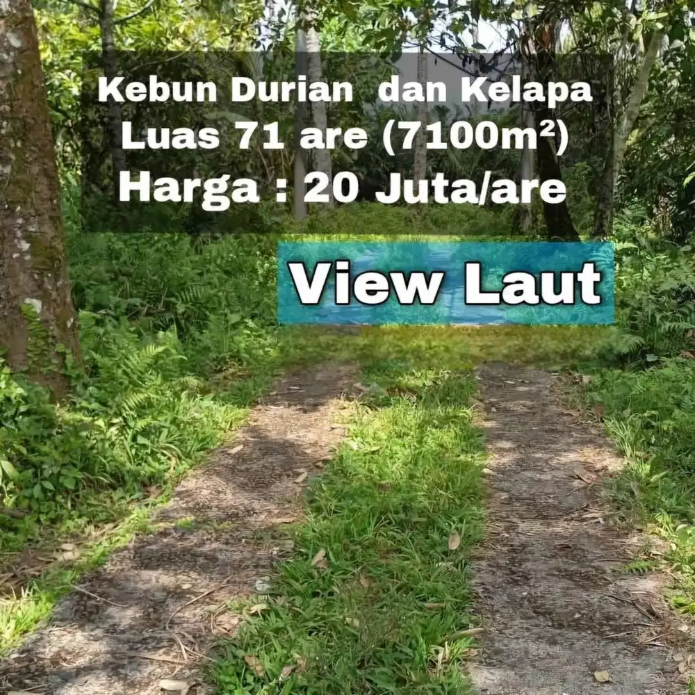 Dijual Tanah di Desa Biahan Selemadeg Tabanan Bali