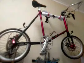 minevelo custom