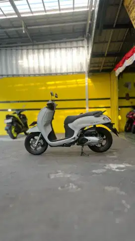 HONDA SCOOPY PRESTIGE 2025 CASH CREDIT