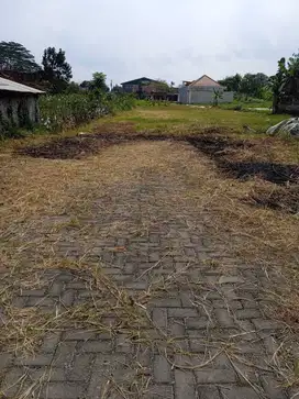 Tanah Kavling 120 m² di Jl. Damai, Akses Jalan Luas