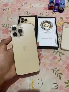 Iphone 13 Pro Max 256Gb Inter