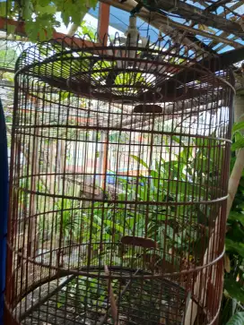 Jual kandang  second