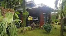 Rumah luas asri dan etnik cikeas gunung putri