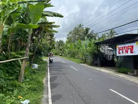 BUC Dijual Tanah lokasi berada dilingkungan tenang dan nyaman Payangan