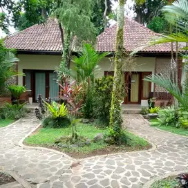 Dijual resort dan villa yg profitable di Ubud, Bali, 2600 m2, SHM