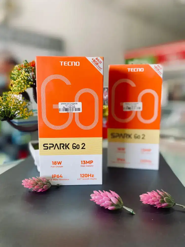 TECNO SPARK GO2