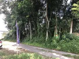 Tanah Murah Siap Bangun Jogja Dekat SD-SMP Al Azhar Kaliurang