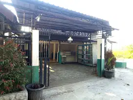 Rumah Halaman Luas di Kretek Bantul