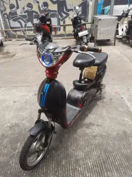 selis murai bekas