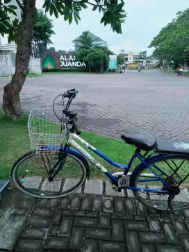 Sepeda phoenix biru putih