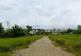 Dijual Cepat Tanah Merjosari Lokasi Strategis untuk Rumah atau Kos