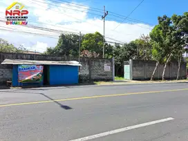 TURUN HARGA Tanah Bonus Rumah di Jl Provinsi, Rogojampi- Banyuwangi