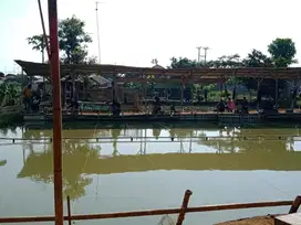 Dijual Kolam Pemancingan Aktif di Jl Kol Rahmat Tegalmunjul Purwakarta