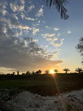 TANAH PERERENAN CANGGU KEDUNGU SIAP BANGUN VILLA
