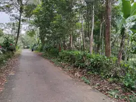 KEBUN NEMPEL KE KALI BERSIH - NEMPEL KE JALAN MOBIL/ JALAN HOTMIK