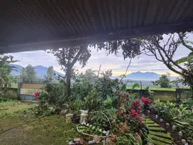 Dijual by owner Kebun Durian JKlapanunggal-Berekah