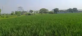 Dijual Murah Tanah Sawah di Sumberurip Pebayuran Bekasi