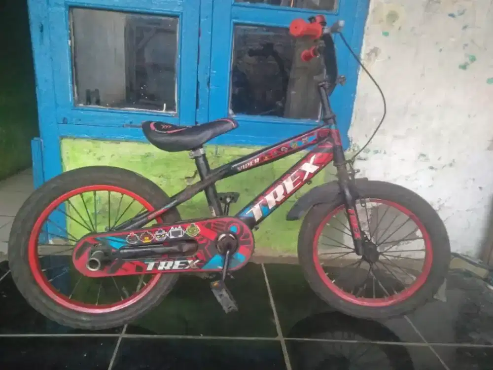 Sepeda anak uk 16