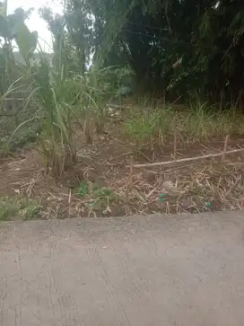 Tanah Murah 165m2 Dekat Stasiun Comuter Parung Panjang