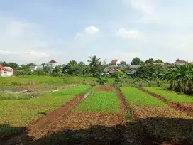 Harga Launching! Kavling Murah Meriah 10 Menit Ke Stasiun Bojonggede