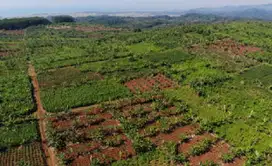 Dijual Tanah Industri Akses Kontainer dan SHGB Di Batang Jawa Tengah