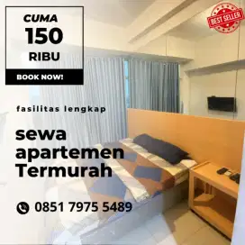 Sewa Apartemen Tangerang TREEPARK Termurah
