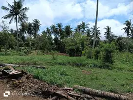 Tanah di prabu Areguling dekat Kuta Mandalika