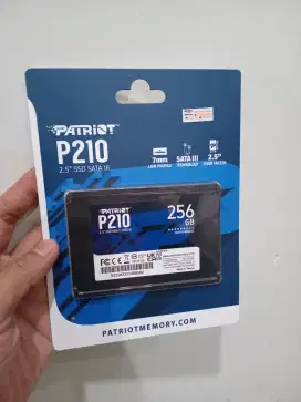 SSD PATRIOT 256GB BARU