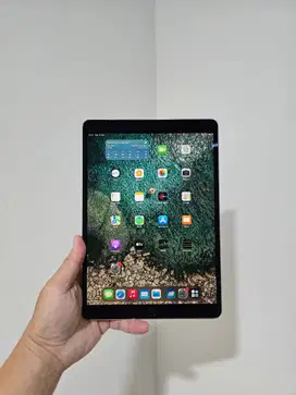 Apple iPad Pro 10.5 2017 Wifi Only 256GB 256 GB Good Condition