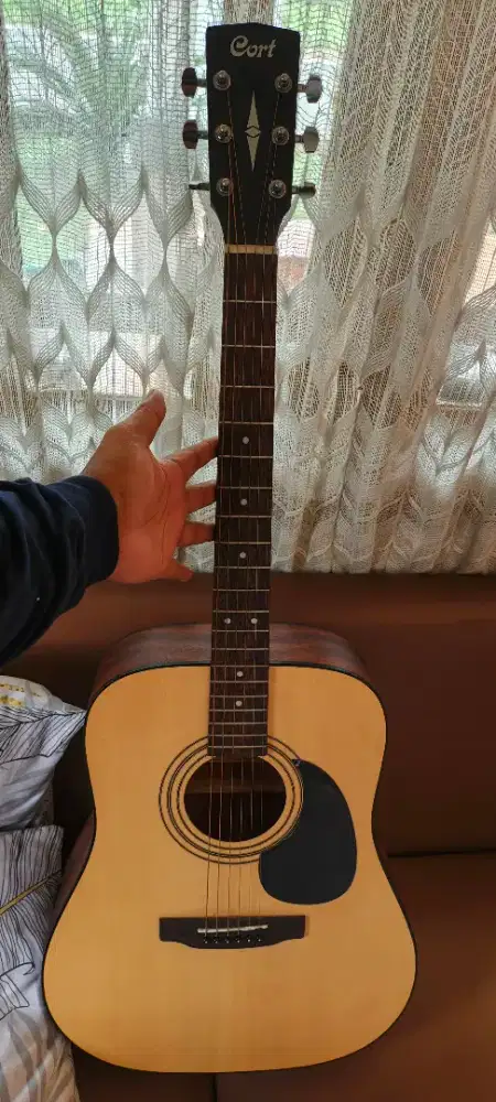 Cort gitar akustik