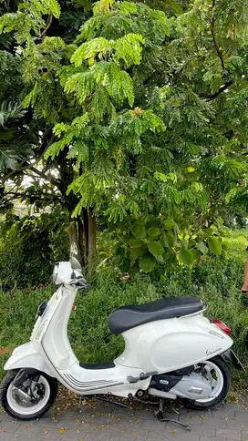 Vespa Primavera