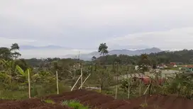 Dijual Tanah kebun SHM masuk mobil untuk cabin